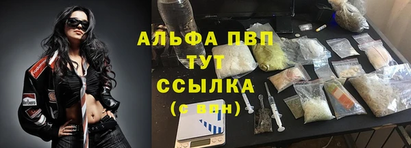 спиды Сосновка
