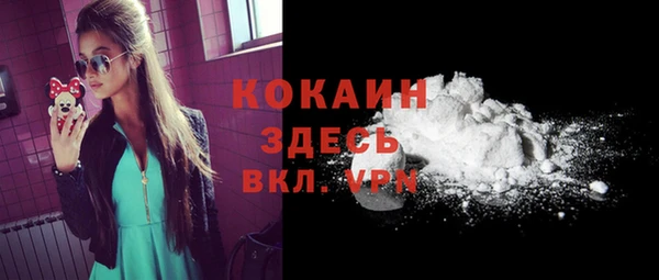 МДПВ Абаза