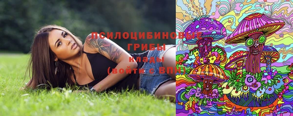 винт Абинск